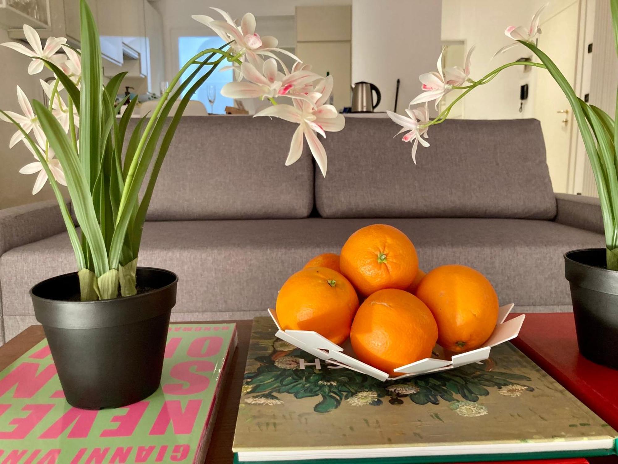 Petrarca Deluxe Apartment Padova